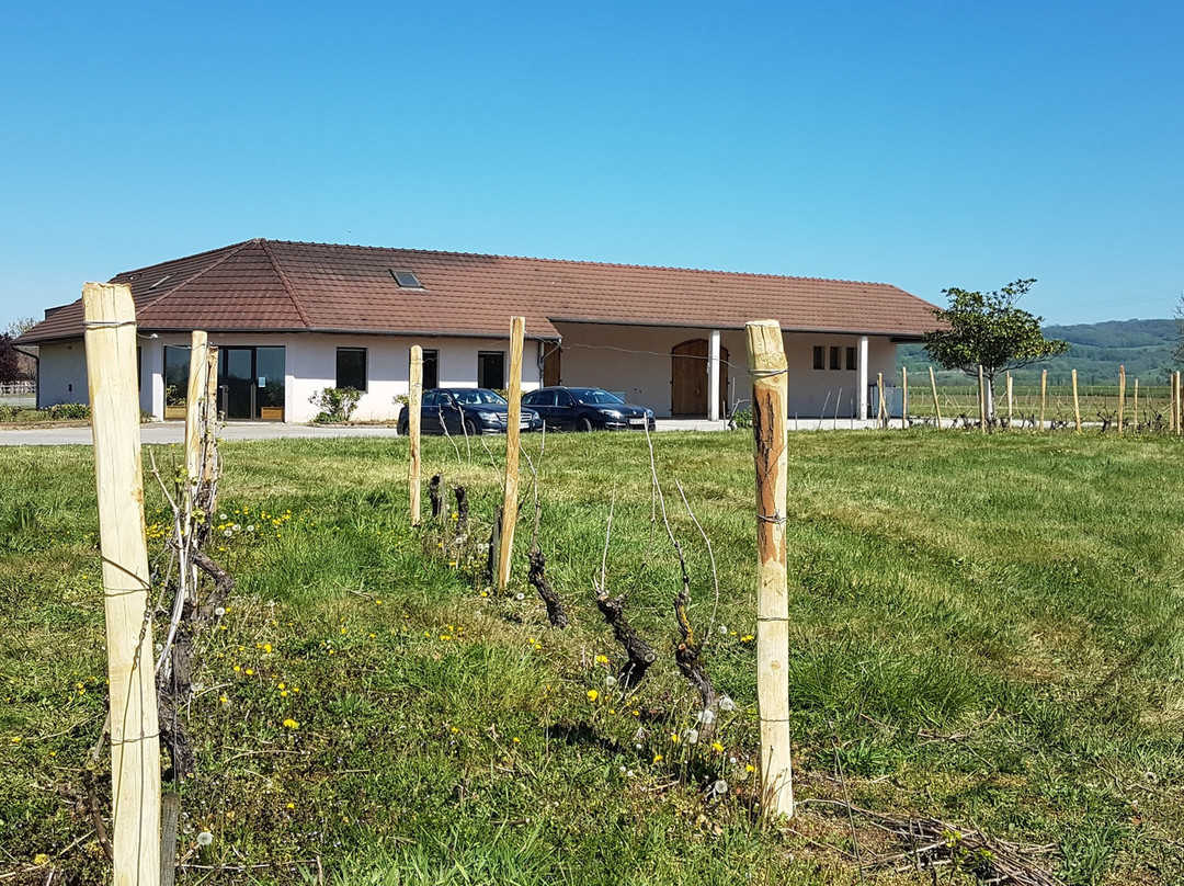Domaine De Siante-marie-Arlay必去景点