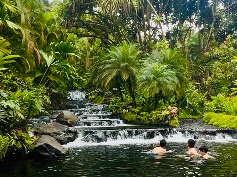 WAKING DREAMS COSTA RICA-圣何塞必去景点