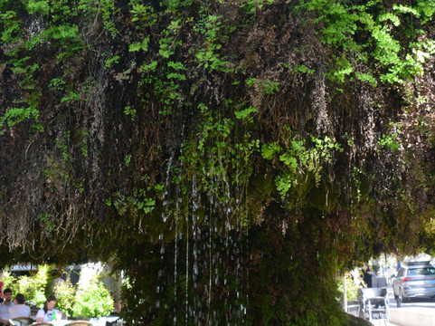 Fontaine Moussue-普罗旺斯地区萨隆必去景点