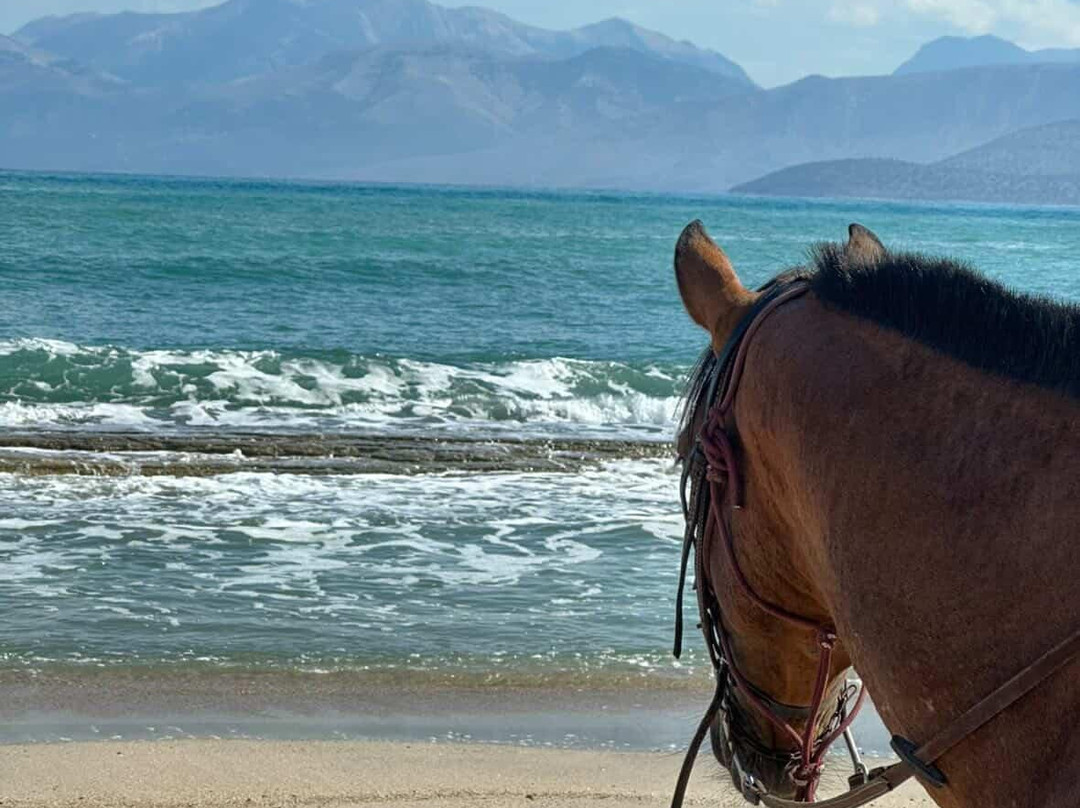 North Corfu Horses-Peritheia必去景点