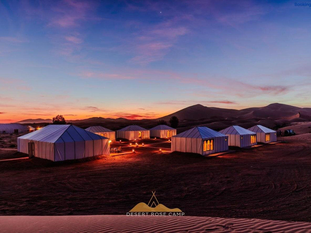 Desert Rose Camp