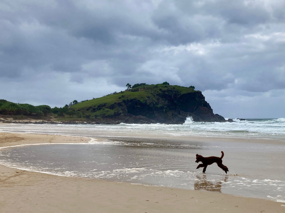 Cabarita Beach-Cabarita Beach必去景点