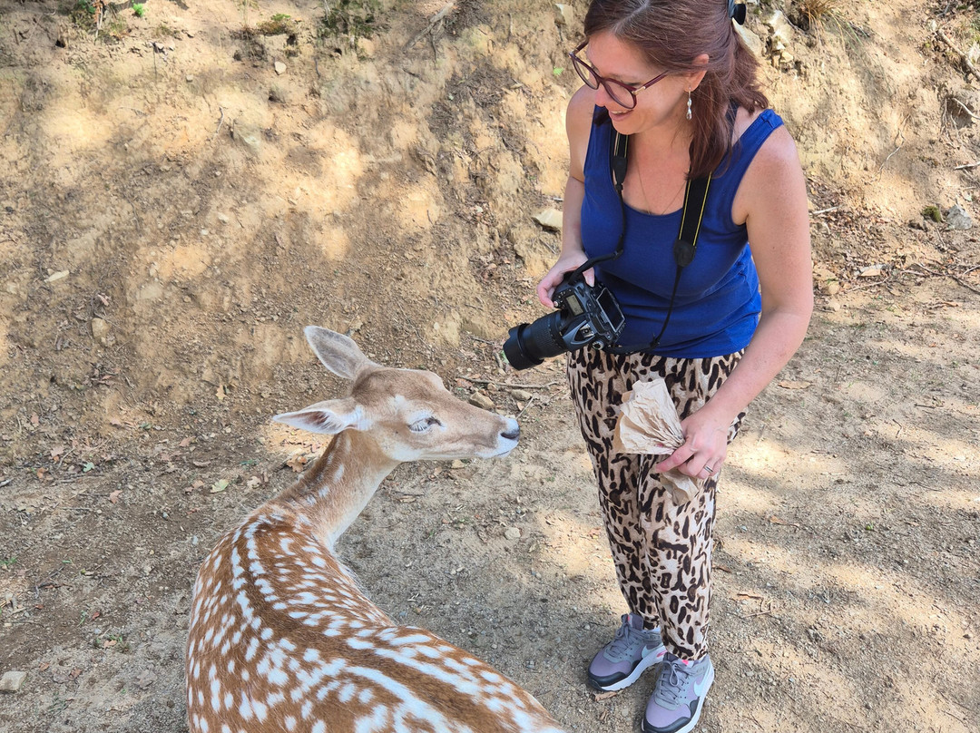 La Vallee des Daims-Junhac必去景点
