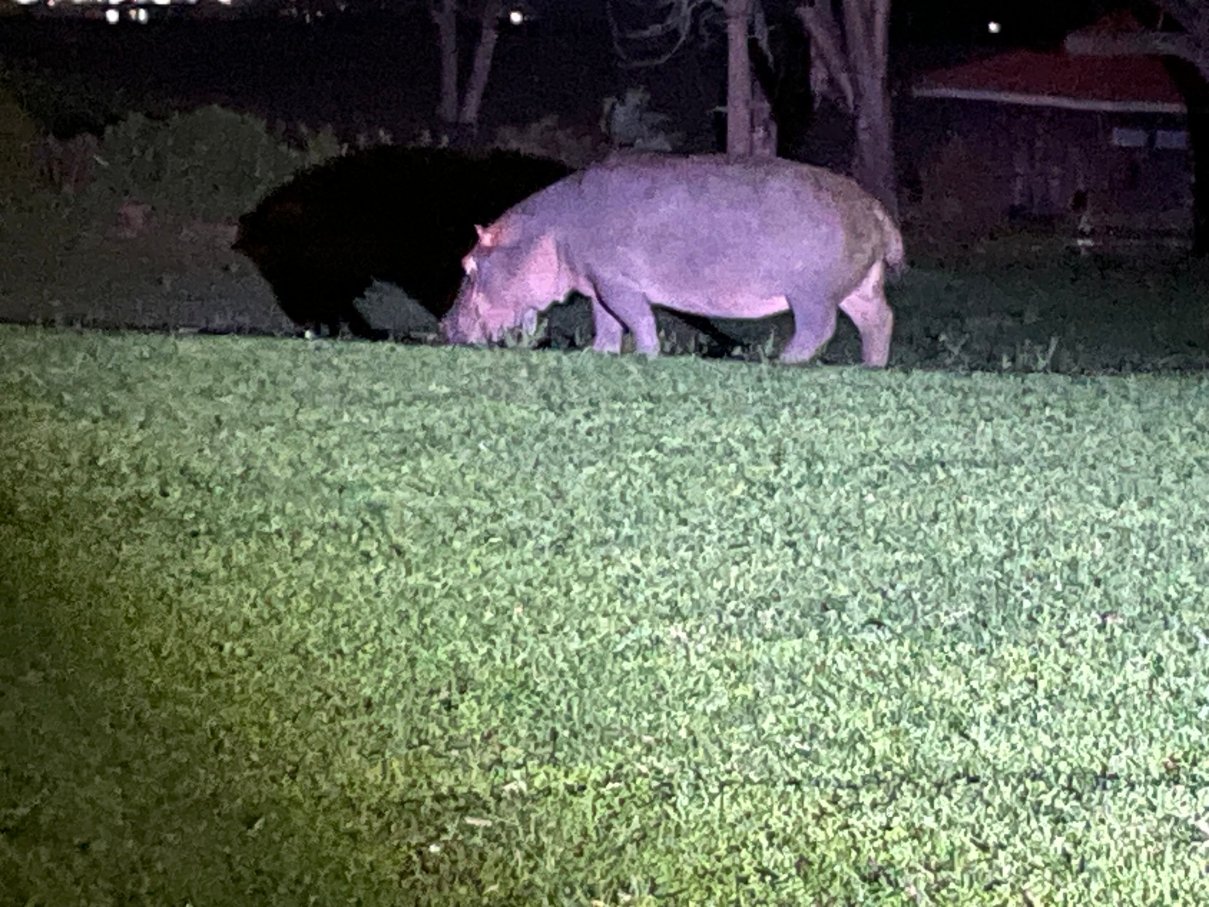 纳瓦沙湖乡村俱乐部旅馆-官方