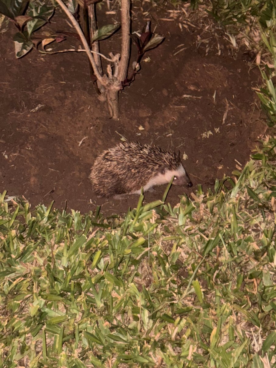 Seven Islands Resort-官方