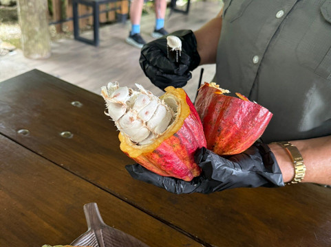 Destination Services CR-利比里亚必去景点