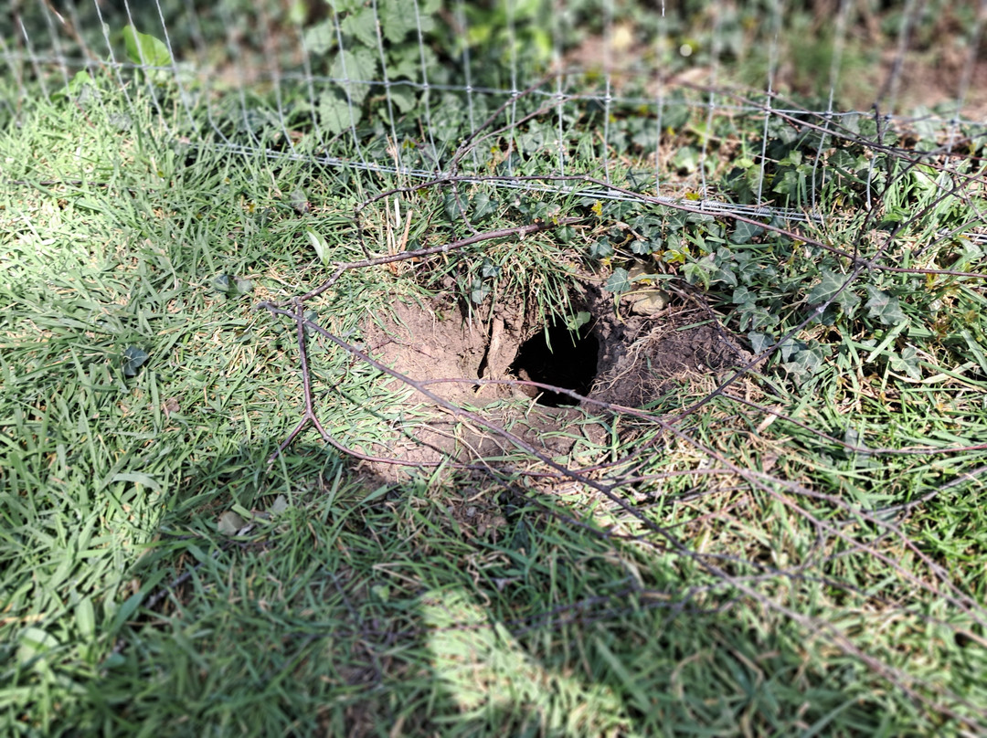 Burton Springs Fishing and Holidays-布里奇沃特必去景点