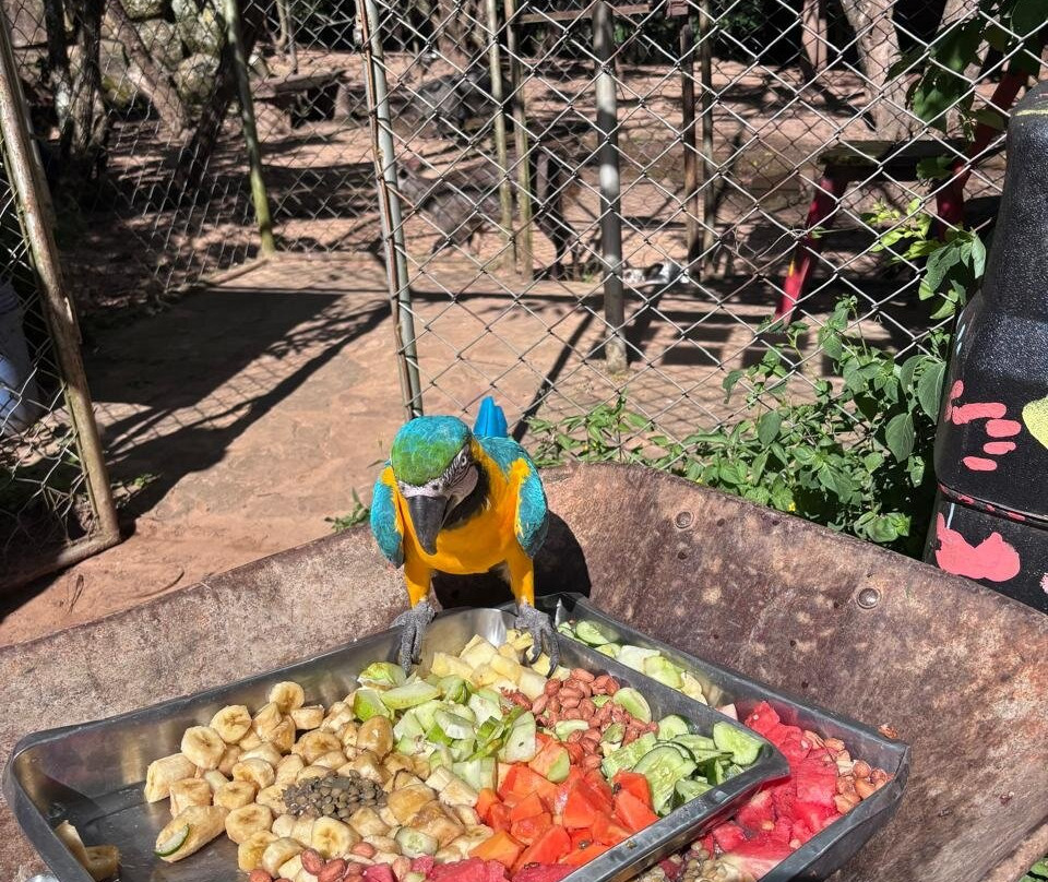 Refugio Zoologico-Samaipata必去景点