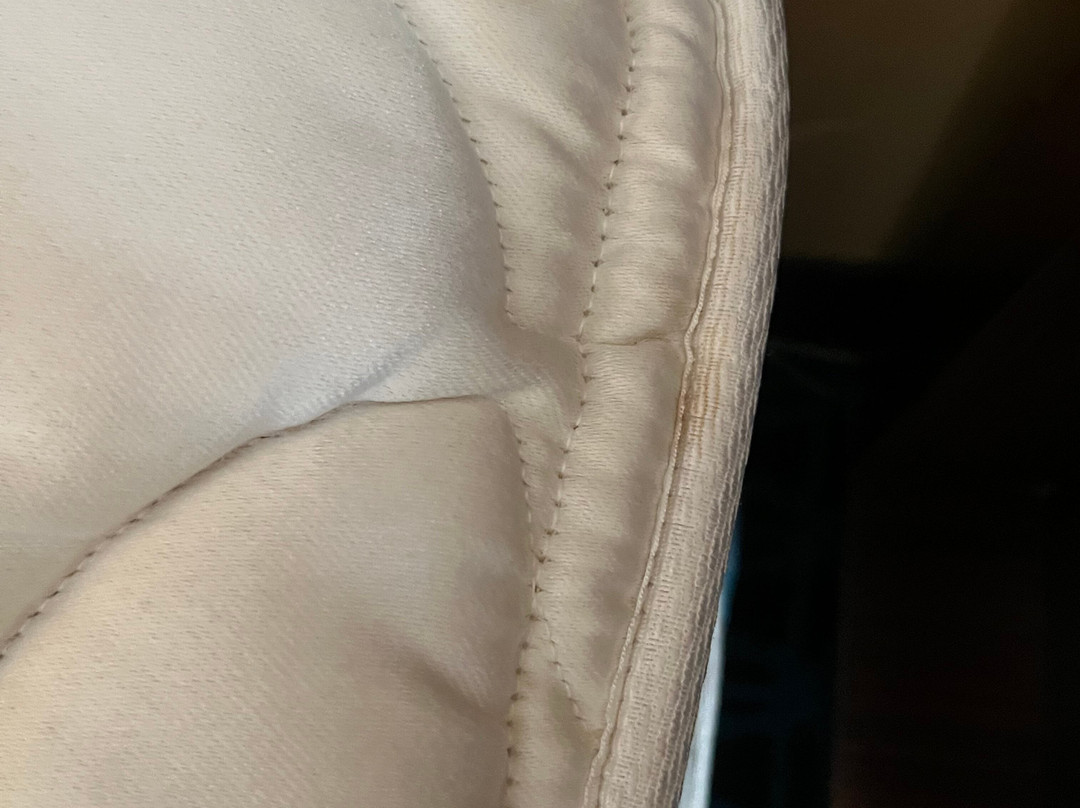 坦帕布兰登万枫酒店及套房主图