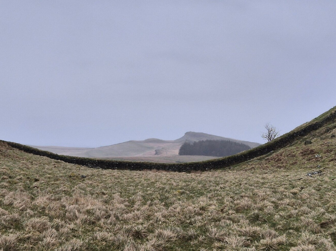 Hadrian's Wall-纽卡斯尔必去景点