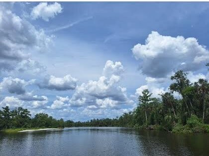 Seminole Wind Airboat tour-阿卡迪亚必去景点