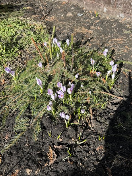 阿特拉斯公园酒店-官方