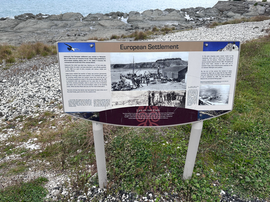 Fyffe House-Kaikoura必去景点