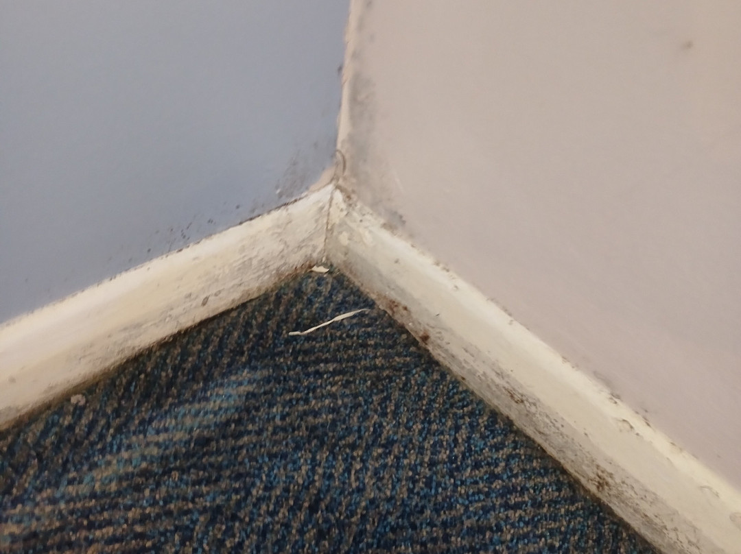 巴恩斯利旅屋酒店主图