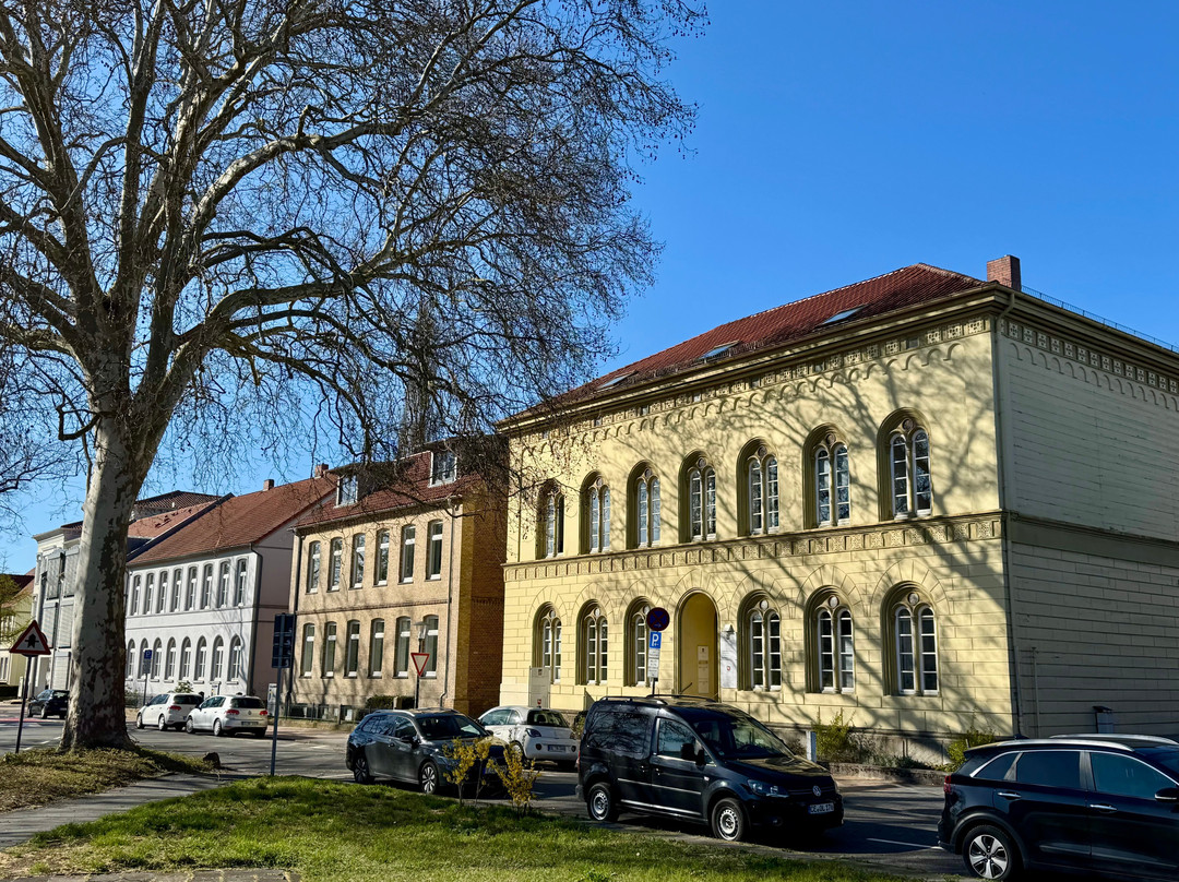 Trift Anlagen-策勒县必去景点