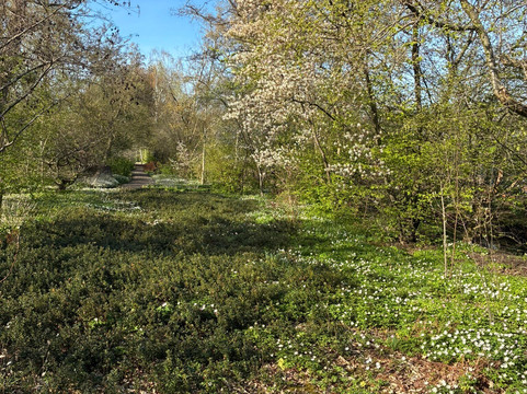 Jac P Thijssepark-阿姆斯特尔芬必去景点