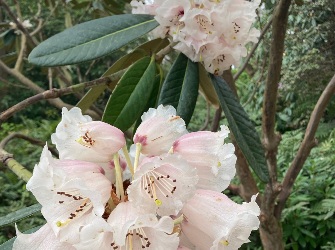 The Savill Garden-Englefield Green必去景点