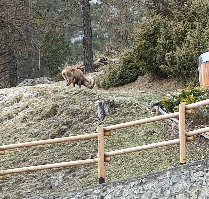Qc Spa Bagni Vecchi Bormio-Valdidentro必去景点
