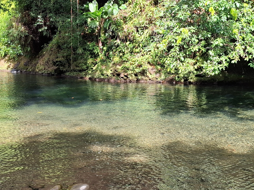 Bassin aux Écrevisses-Petit-Bourg必去景点