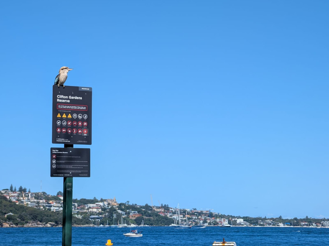 Clifton Gardens-莫斯曼必去景点