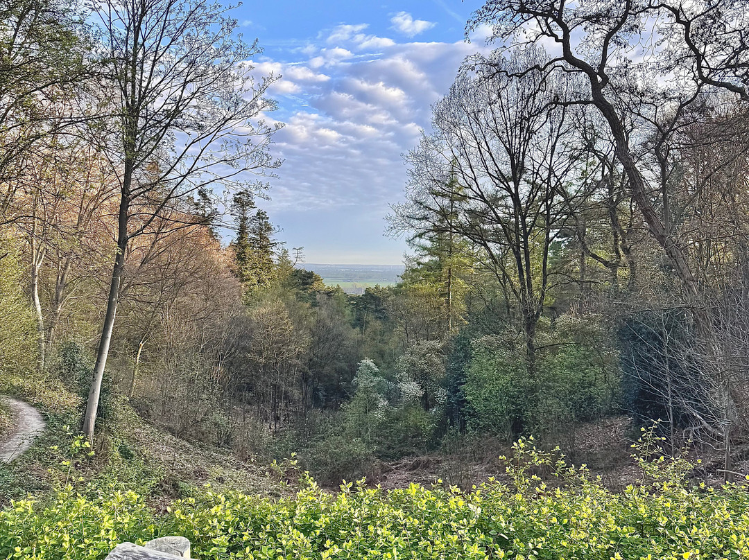 弗莱彻瓦尔蒙特公园酒店主图