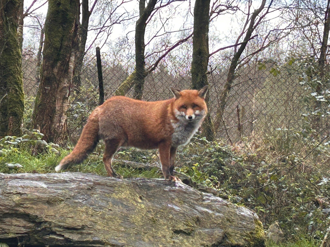 Wild Ireland-Burnfoot必去景点