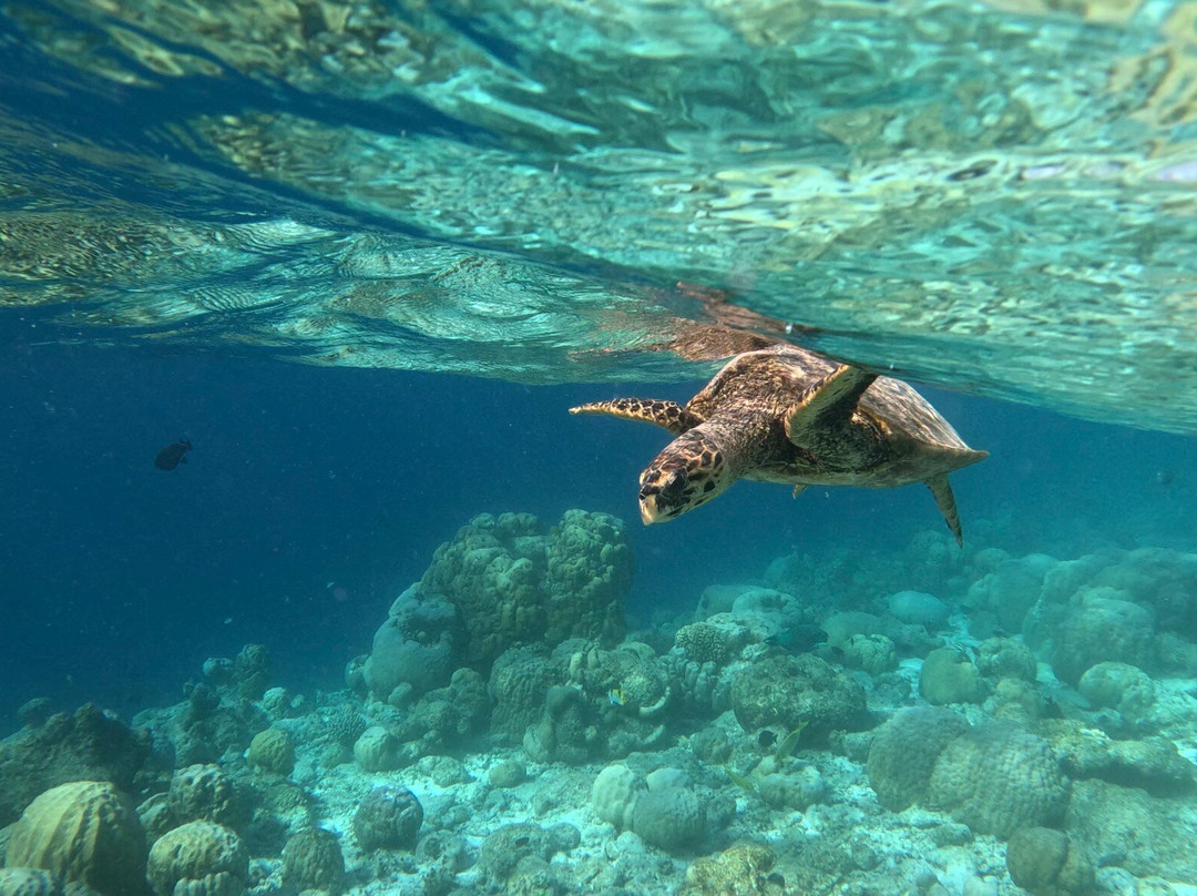 马尔代夫菲哈霍希酒店主图