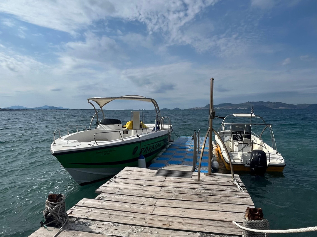 密茨斯拉米拉酒店主图