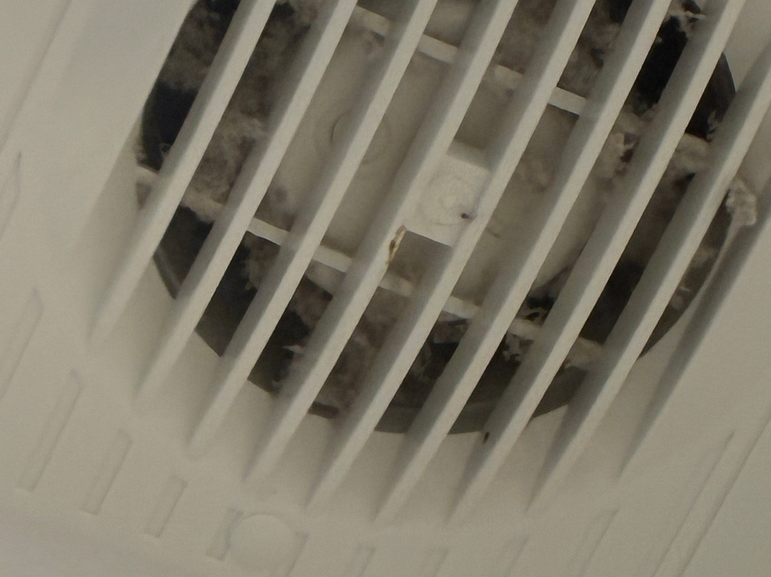 Valley of the Rocks-林茅斯必去景点