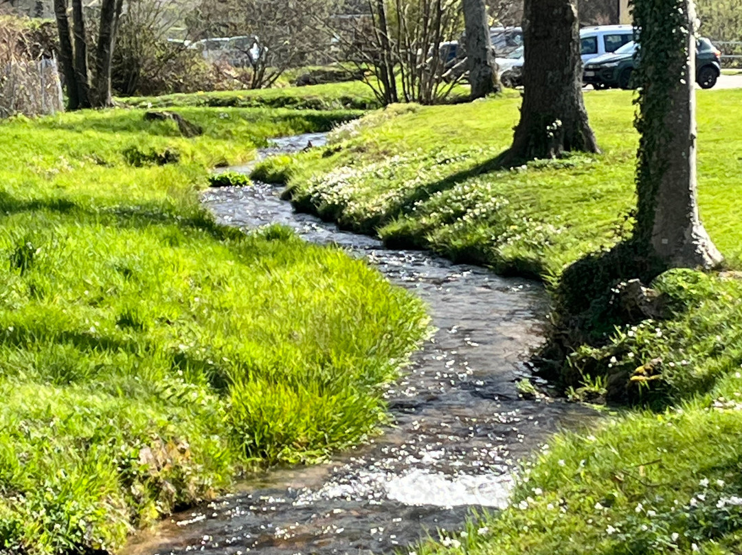 施米茨费尔登库尔酒店主图
