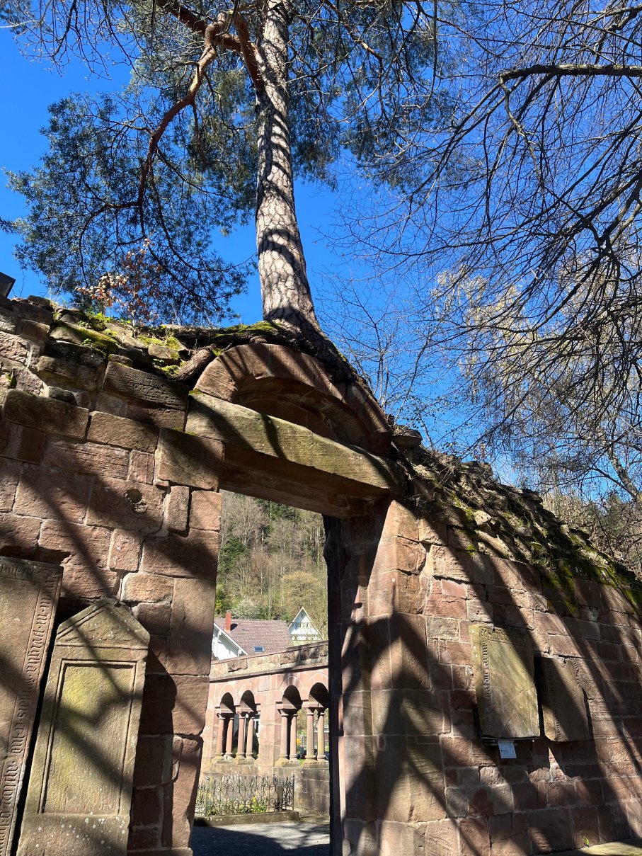 施米茨费尔登库尔酒店-旅行者