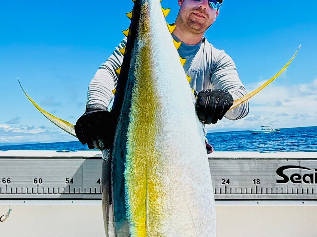 The Zancudo Lodge主图