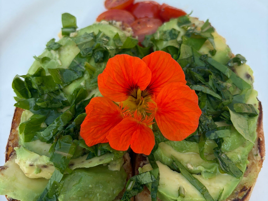 瓦登王花园庄园酒店主图