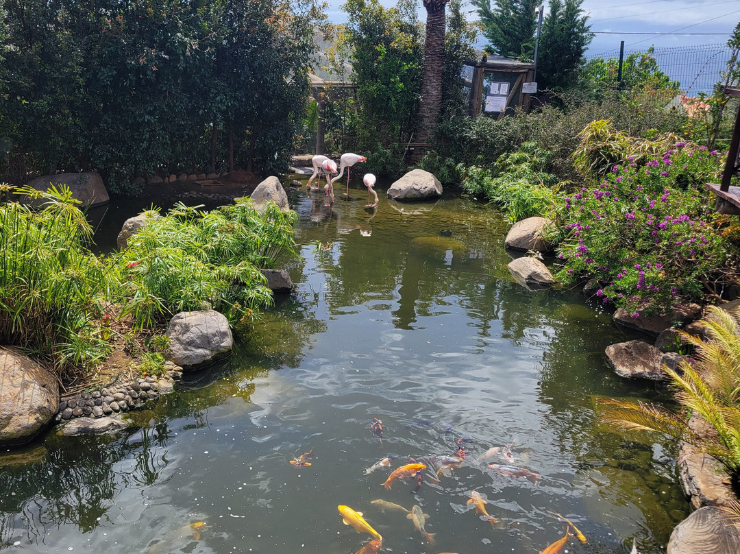 Ilha das Aves-Campanario必去景点
