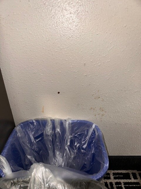 约克拉昆塔温德姆套房酒店主图