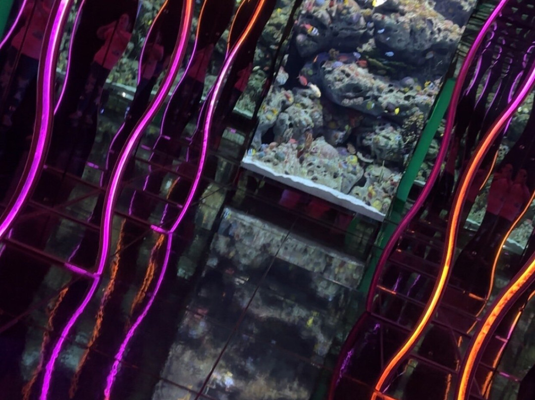 Aquarium At The Boardwalk-布兰森必去景点