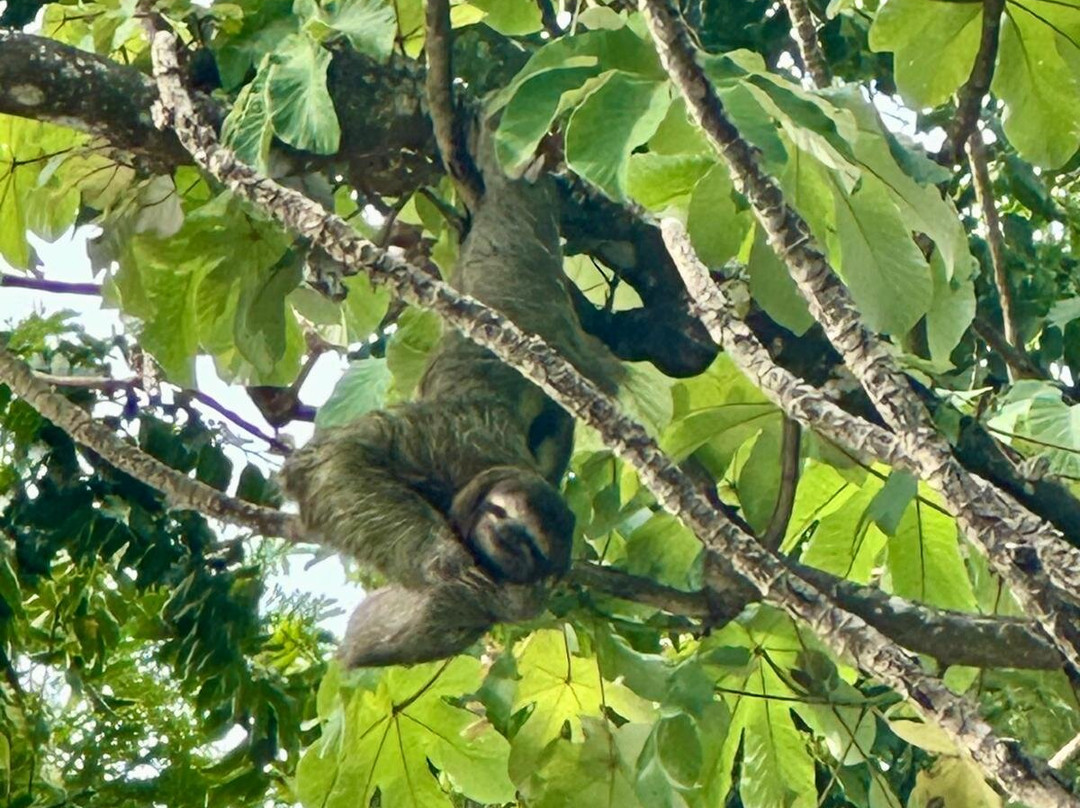 玛坎达海边酒店 - 限成人入住主图