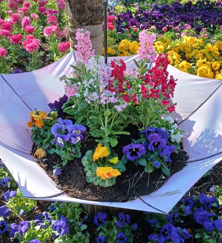 米拉奈洛夫经典酒店主图