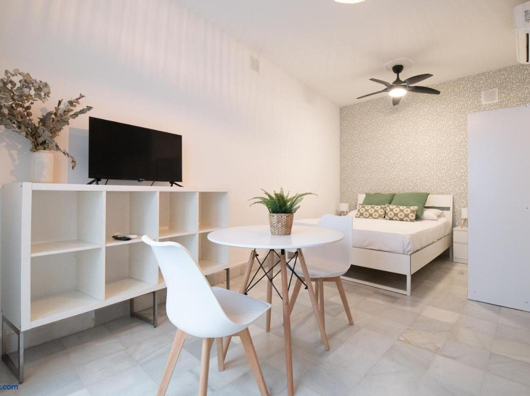 Apartamentos Alameda de Hercules