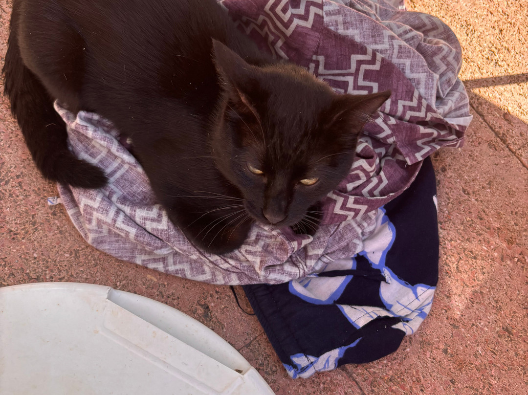 兰德尔马沙滩住宿主图