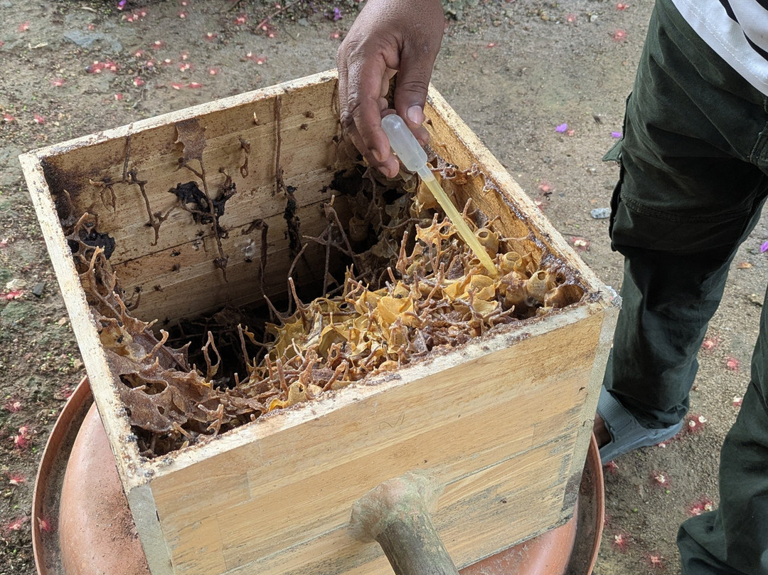 Langkawi Cooking School at Buluh & Tebing Organic Farm-兰卡威必去景点