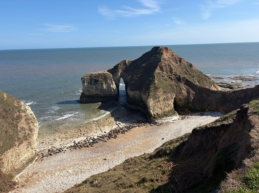 FLamborough Outer Headland-Flamborough必去景点