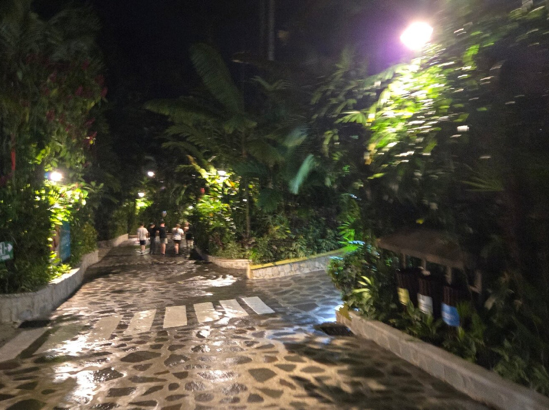 Sol Tropical Day Tours-圣何塞必去景点