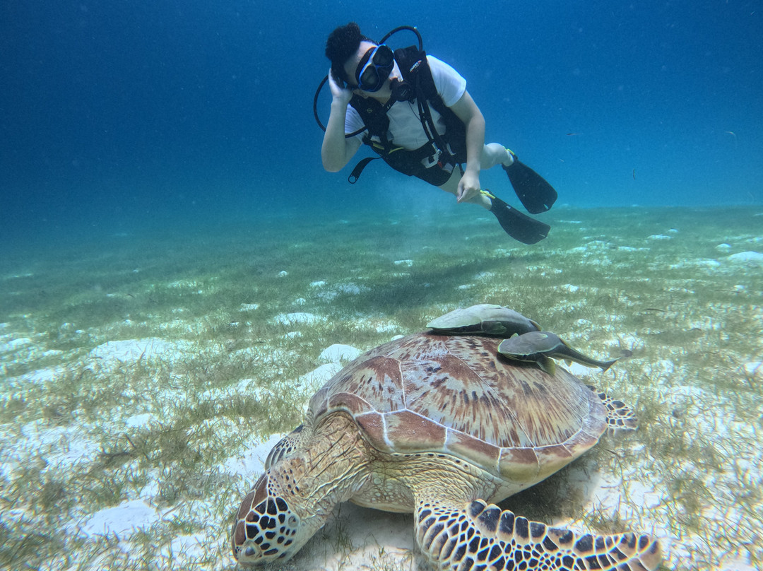 Sub Oceanic at Le Méridien Maldives Resort & Spa-Thilamaafushi必去景点