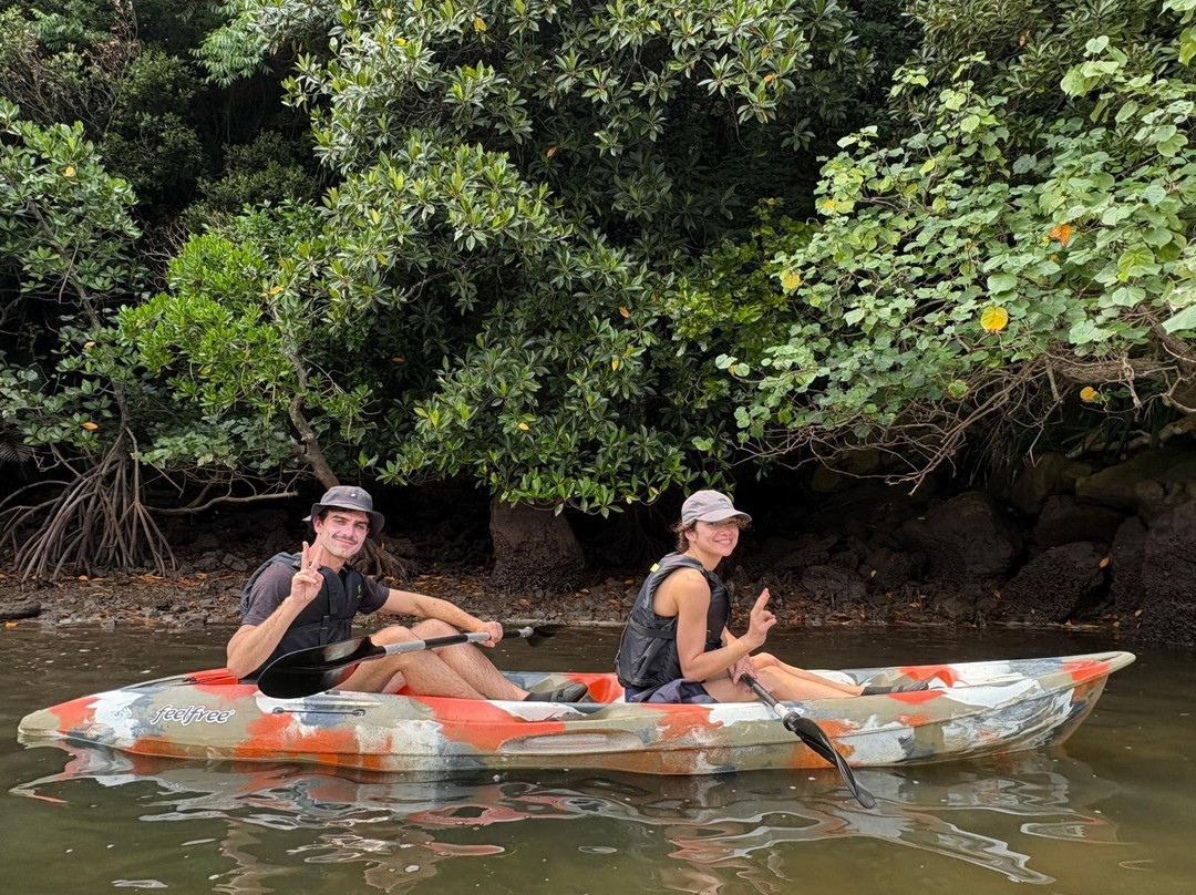 IRIOMOTE ADVENTURE PiPi-竹富町西表岛必去景点