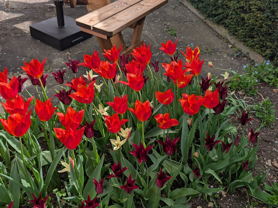 1620s House & Garden-Coalville必去景点