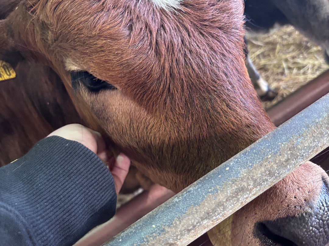 Playdale Farm Park-斯卡伯勒必去景点