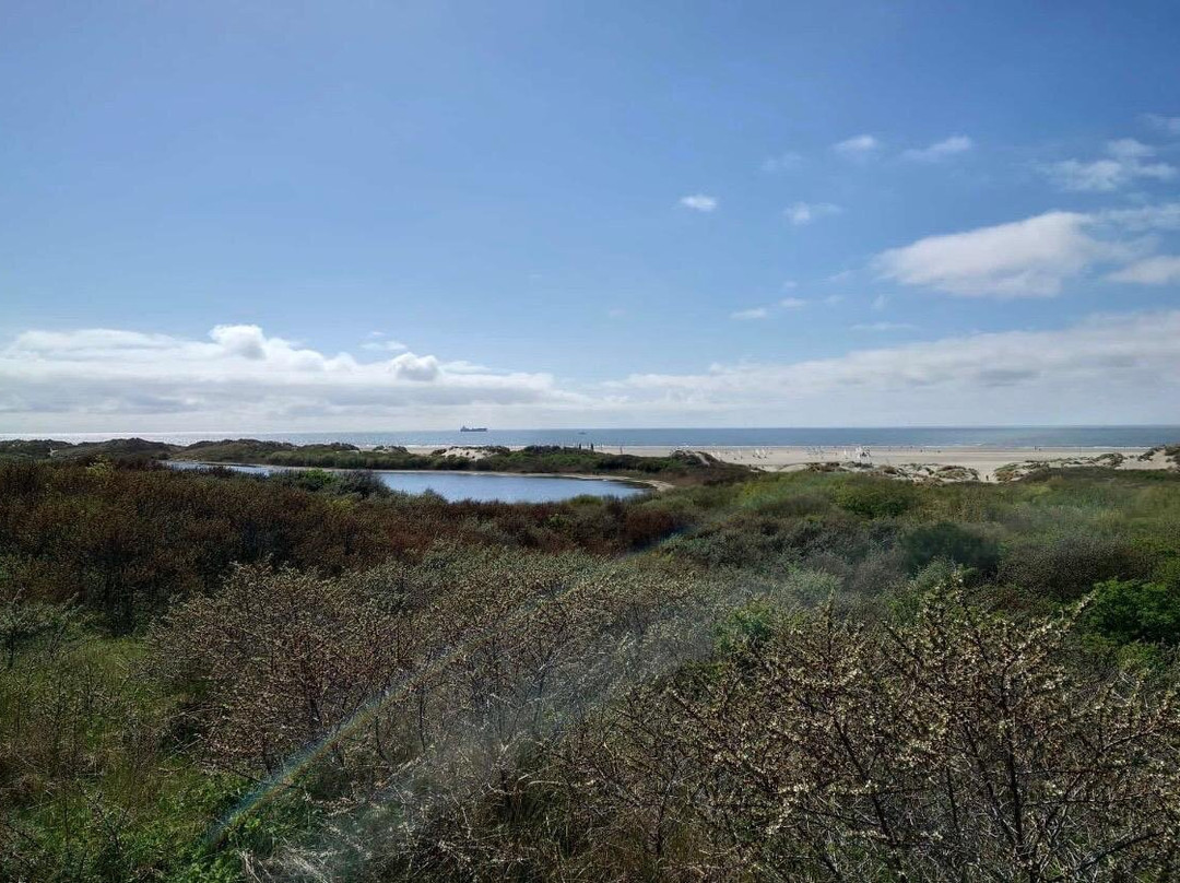 Zandvoort Aan Zee-赞德沃特必去景点