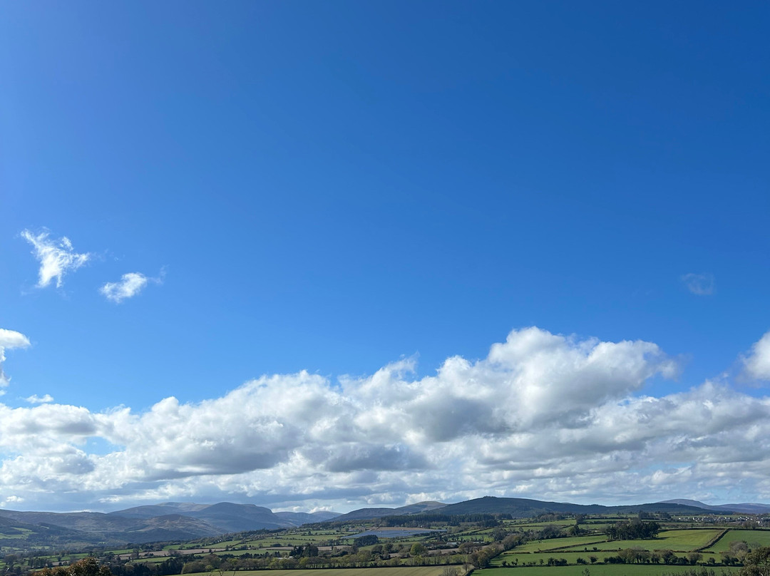 Treetop Walk Avondale-Rathdrum必去景点