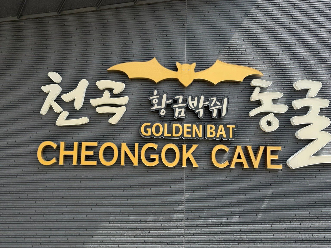 Cheongok Golden Bat Cave-东海市必去景点